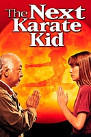The Next Karate Kid (1994) movie poster