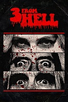 3 from Hell (2019) movie poster