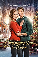 A Christmas Wish in Hudson (2021) movie poster