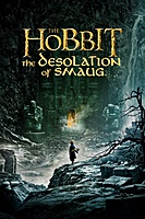 The Hobbit: The Desolation of Smaug (2013) movie poster