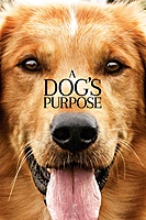A Dog's Purpose (2017) movie poster