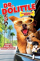 Dr. Dolittle: Million Dollar Mutts (2009) movie poster
